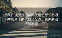 围绕白虎图片的实际使用感想：普通用户视角下的优缺点盘点，白虎的图片简笔画