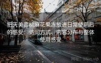 把天美蜜桃麻花果冻放进日常使用后的感受：访问方式、内容分布与整体使用感受