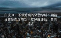 白虎91｜不带滤镜的体验总结：功能设置复杂度与新手友好度评估，白虎虎式