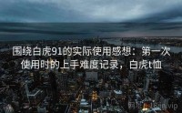 围绕白虎91的实际使用感想：第一次使用时的上手难度记录，白虎t恤