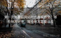 第一次用蘑菇网站时的真实感受：哪些地方好用，哪些地方需要适应