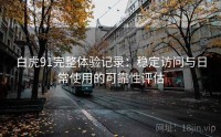 白虎91完整体验记录：稳定访问与日常使用的可靠性评估
