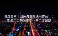 白虎图片｜回头再看的使用体会：长期使用后的效率变化与习惯调整