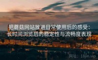 把蘑菇网站放进日常使用后的感受：长时间浏览后的稳定性与流畅度表现