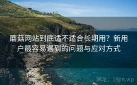 蘑菇网站到底适不适合长期用？新用户最容易遇到的问题与应对方式
