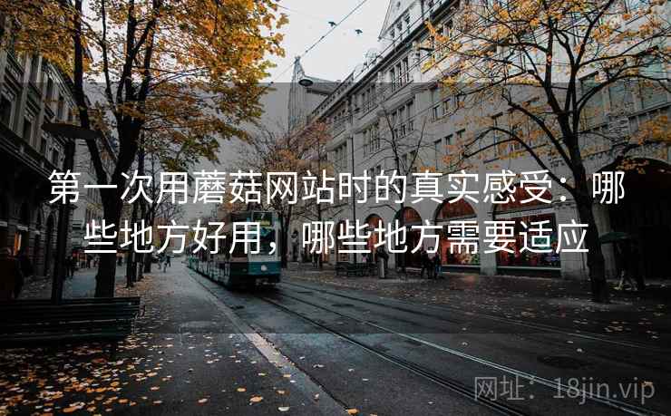 第一次用蘑菇网站时的真实感受：哪些地方好用，哪些地方需要适应