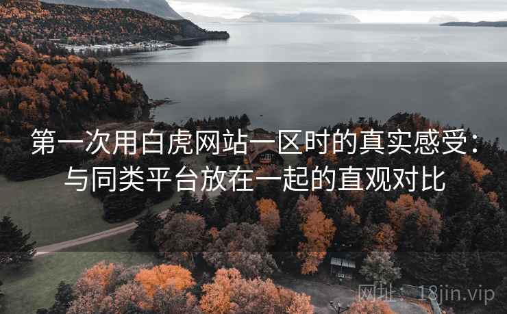 第一次用白虎网站一区时的真实感受：与同类平台放在一起的直观对比