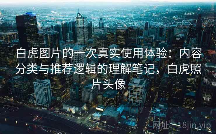 白虎图片的一次真实使用体验：内容分类与推荐逻辑的理解笔记，白虎照片头像