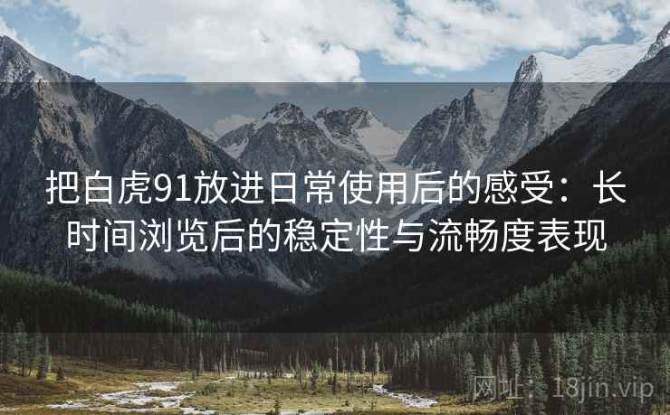 把白虎91放进日常使用后的感受:长时间浏览后的稳定性与流畅度表现 把白虎91放进日常使用后的感受:长时间浏览后的稳定性与流畅度表现