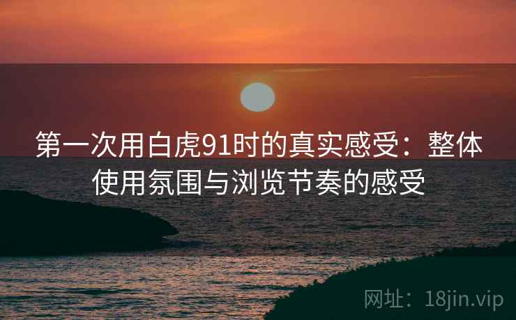 第一次用白虎91时的真实感受:整体使用氛围与浏览节奏的感受 第一次用白虎91时的真实感受:整体使用氛围与浏览节奏的感受