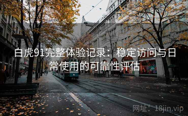 白虎91完整体验记录：稳定访问与日常使用的可靠性评估
