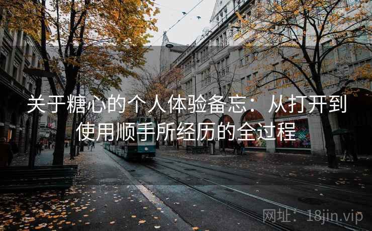 关于糖心的个人体验备忘：从打开到使用顺手所经历的全过程