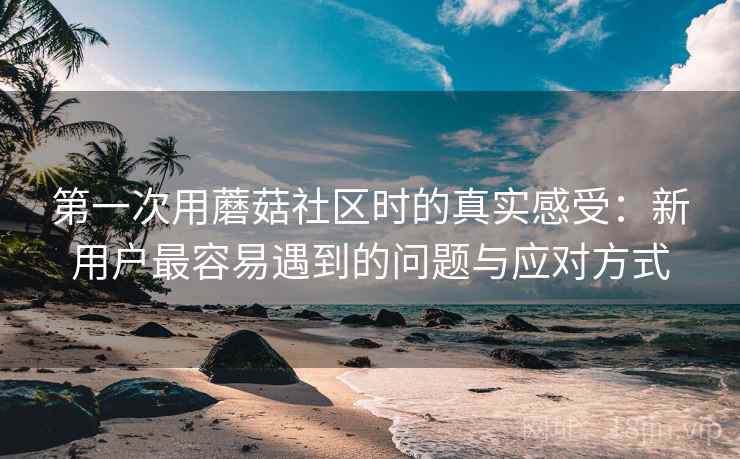 第一次用蘑菇社区时的真实感受:新用户最容易遇到的问题与应对方式 第一次用蘑菇社区时的真实感受:新用户最容易遇到的问题与应对方式