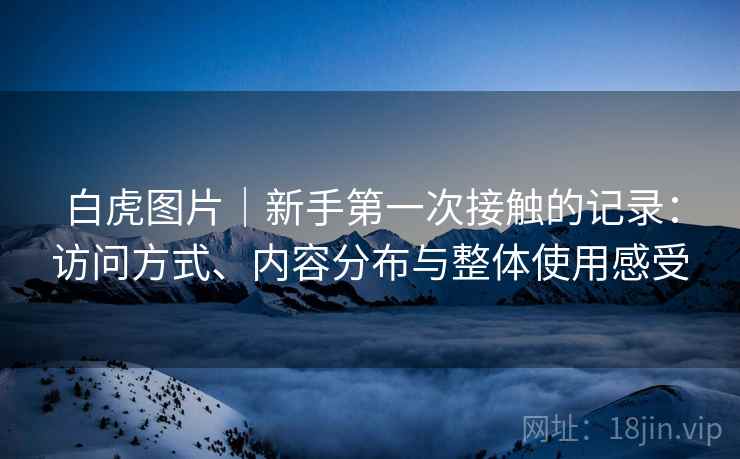 白虎图片｜新手第一次接触的记录：访问方式、内容分布与整体使用感受