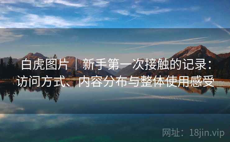 白虎图片｜新手第一次接触的记录：访问方式、内容分布与整体使用感受