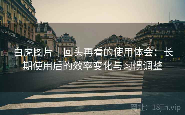 白虎图片|回头再看的使用体会:长期使用后的效率变化与习惯调整 白虎图片|回头再看的使用体会:长期使用后的效率变化与习惯调整
