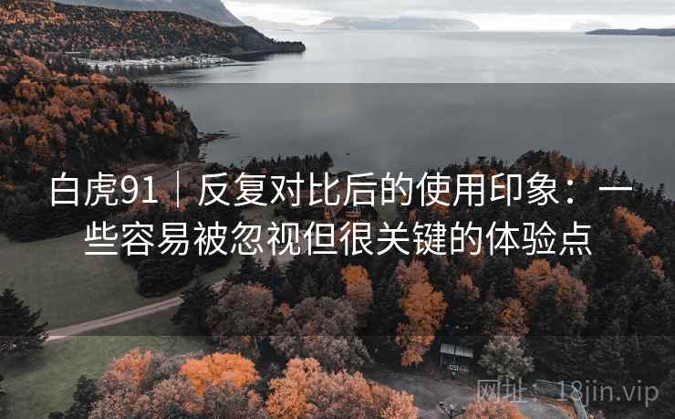 白虎91|反复对比后的使用印象:一些容易被忽视但很关键的体验点 白虎91|反复对比后的使用印象:一些容易被忽视但很关键的体验点