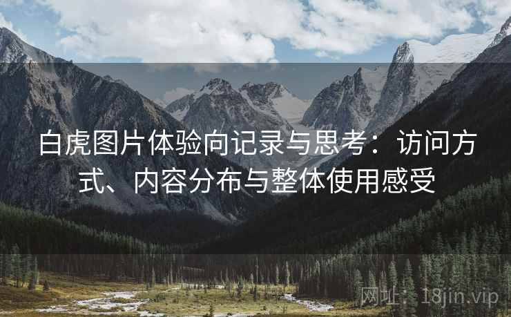 白虎图片体验向记录与思考：访问方式、内容分布与整体使用感受