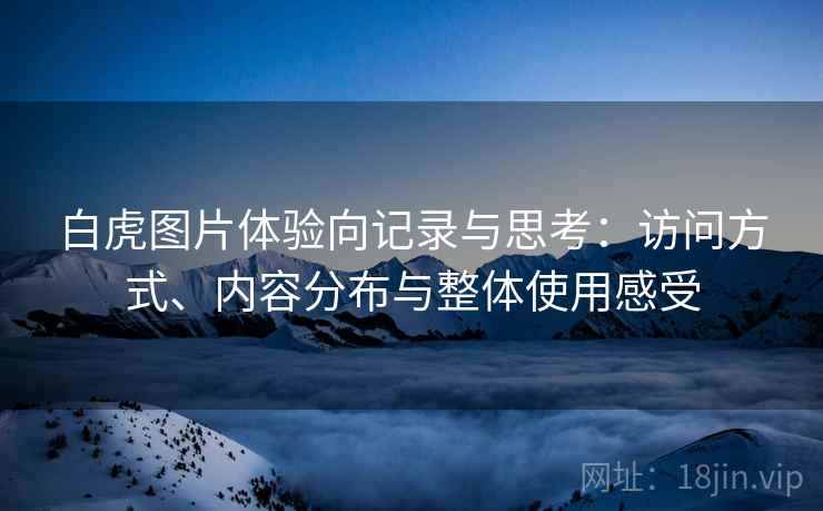 白虎图片体验向记录与思考：访问方式、内容分布与整体使用感受