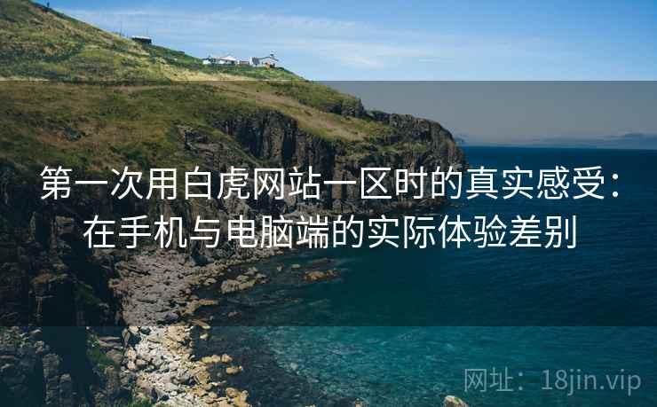 第一次用白虎网站一区时的真实感受：在手机与电脑端的实际体验差别