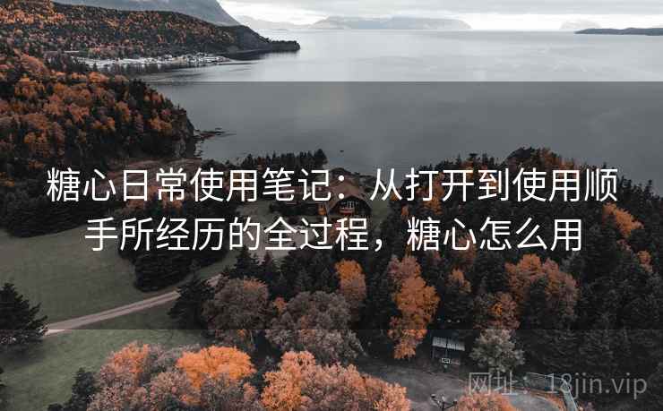 糖心日常使用笔记：从打开到使用顺手所经历的全过程，糖心怎么用