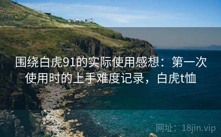 围绕白虎91的实际使用感想：第一次使用时的上手难度记录，白虎t恤